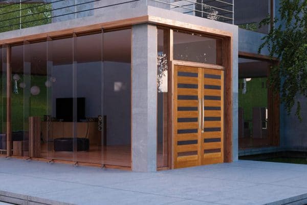front door with glass